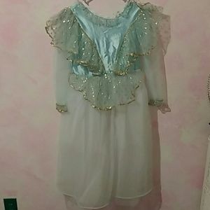 Vintage Princess Dress Costume